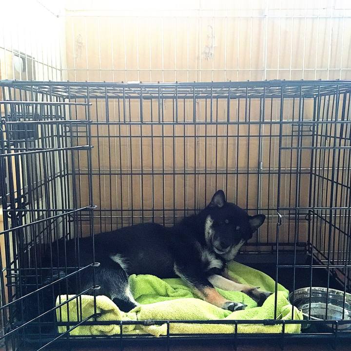 1af299c1 c5a9 4c78 b3fa f544e0ac0334