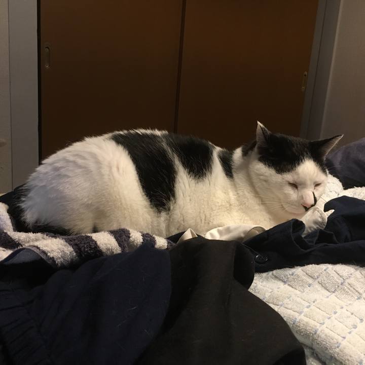 1af2b06a 6fd1 4eb1 be12 6aa9f0dad86a