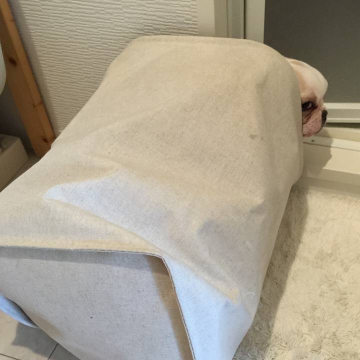 1af2e037 20c2 4bc4 92d4 340ade6c8fce