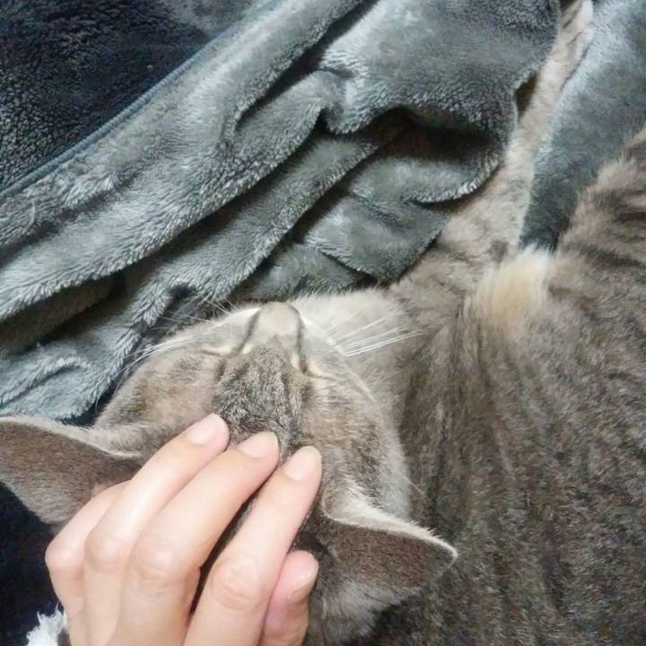 1af2e4ed cacd 4cdb afce a2f5f615257b