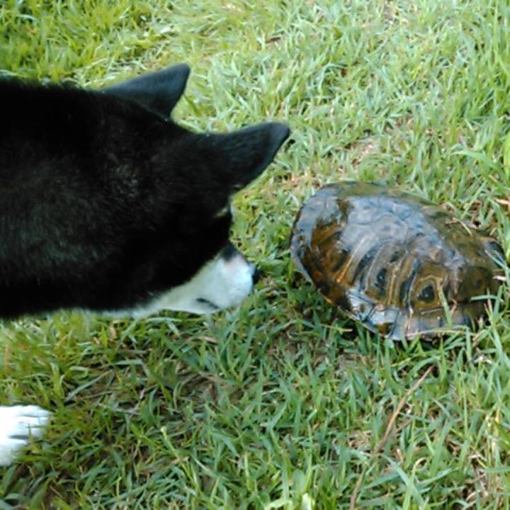 1af2f9c6 96e6 44e6 92d2 9837618819f8