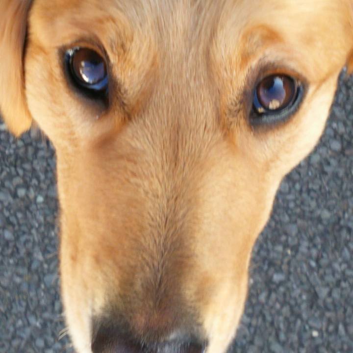 1af34ca2 45ea 4474 a1bd c073a8c60d48