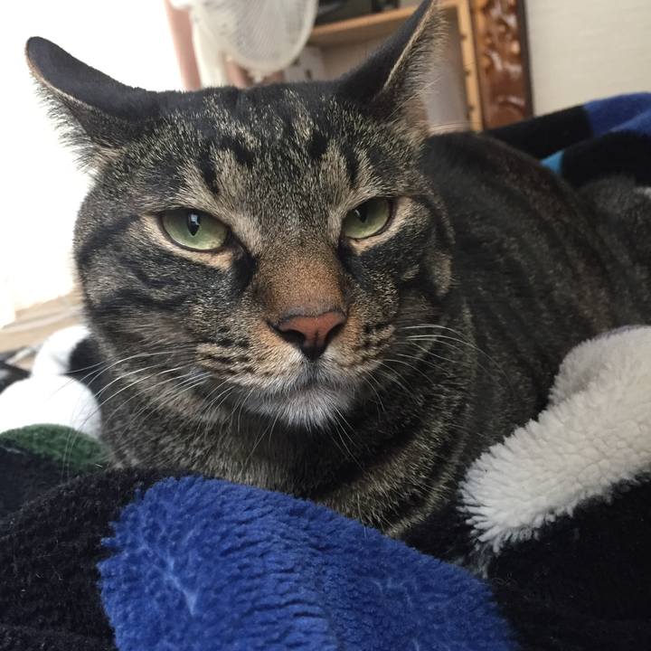 1af36a58 4706 460d a5c9 24cca7524cdb