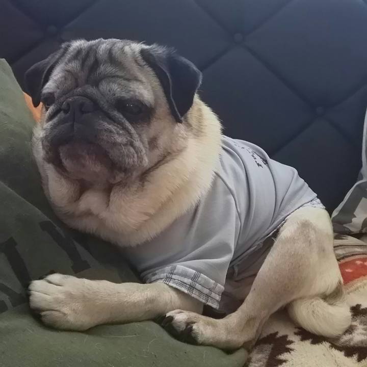 1af3d4c8 cf5d 4384 a623 815ad250ee94