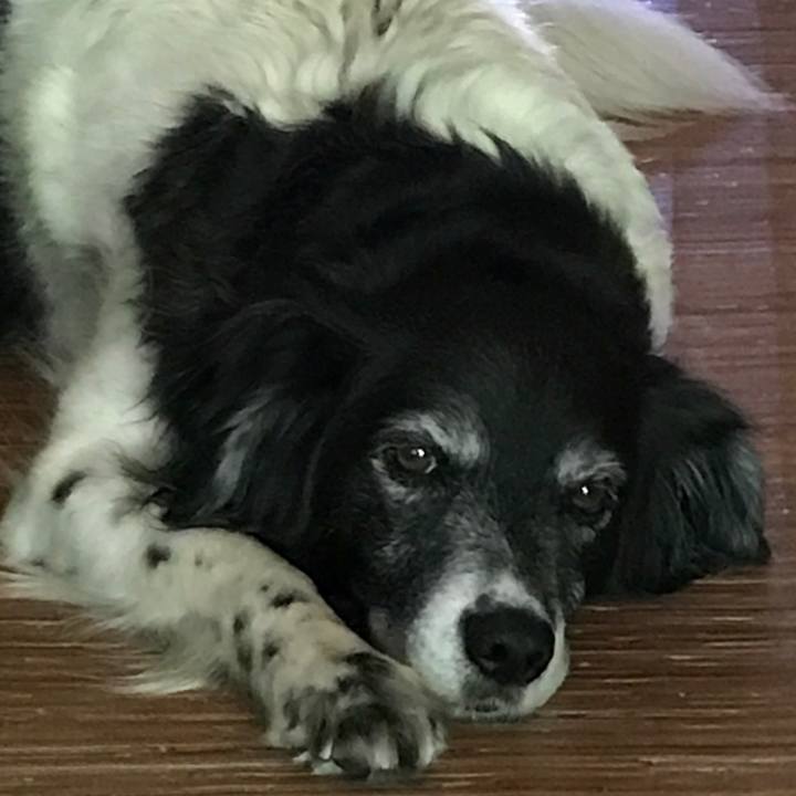 1af46fcf a46a 40dd 9961 e02abb41bfed