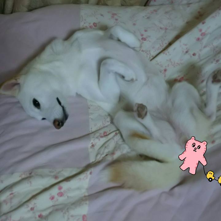 1af4c7a8 34df 426a 871a 45a242ad6577