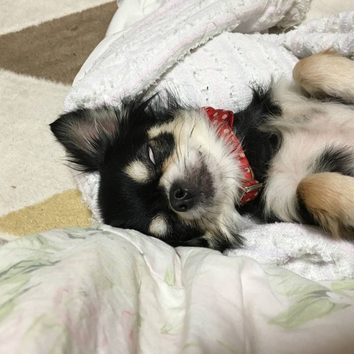 1af4c7b5 2891 4742 9c5f 62afe755e0be