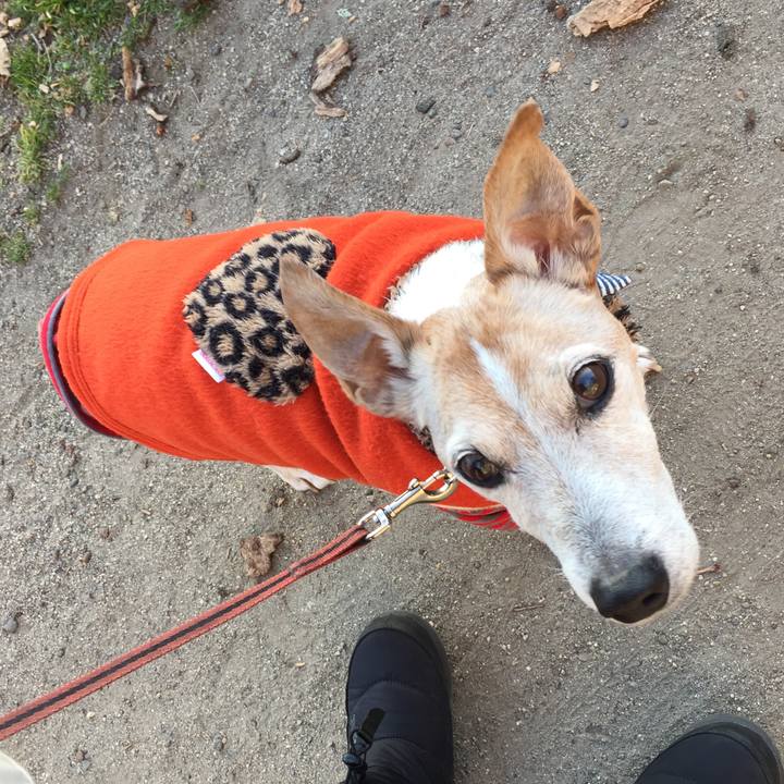 1af5219d f9bc 4094 8553 3b14e8ca4732