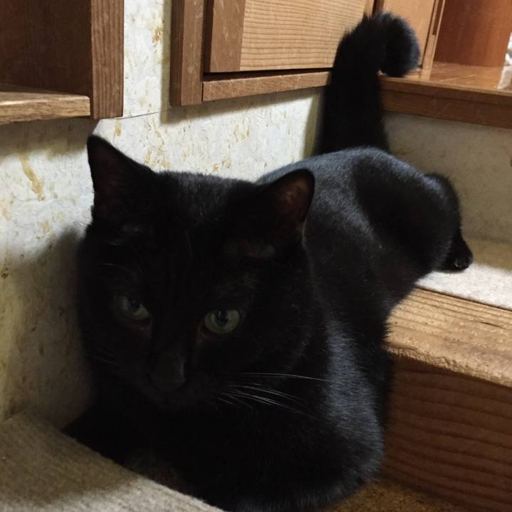 1af55827 e39f 4eb3 b6d7 76f8c4a97284