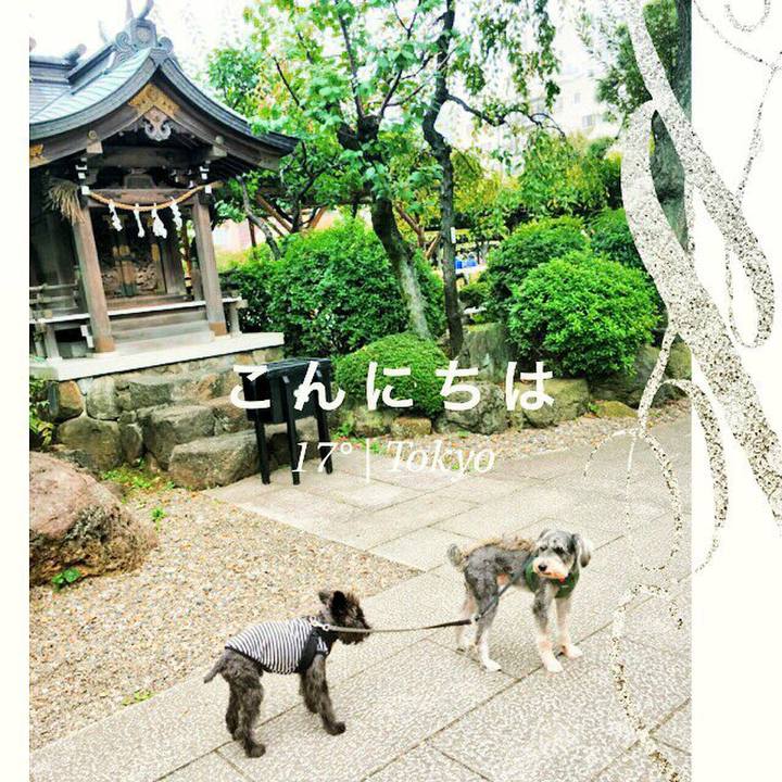 1af55c67 a5ab 47f0 b6d6 086fabf17199