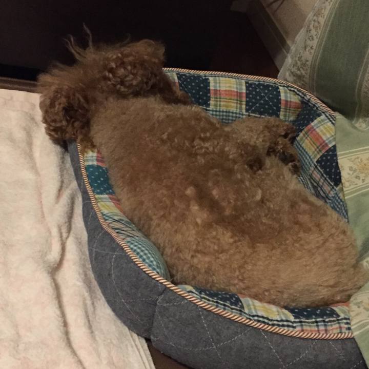 1af59a0a 5e6a 4263 aaac edebf80d9415