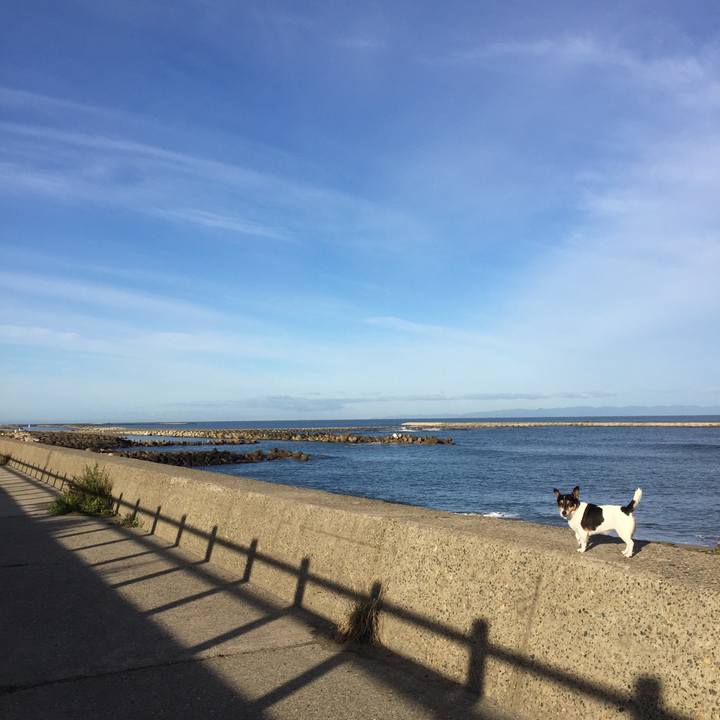 1af629e2 2643 4fd1 a637 f6e2f483ec63