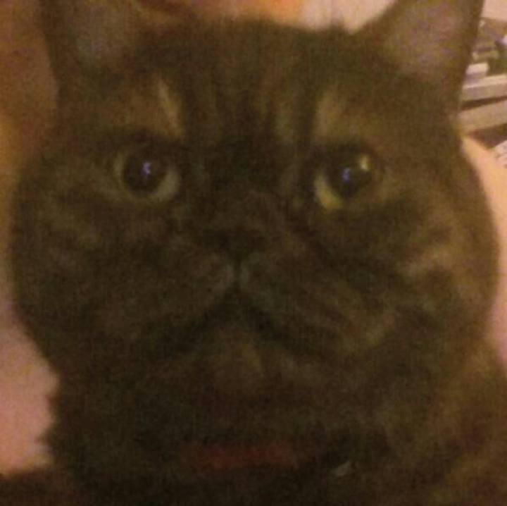 1af66d77 50fa 48fc 88b2 47d3286c9526