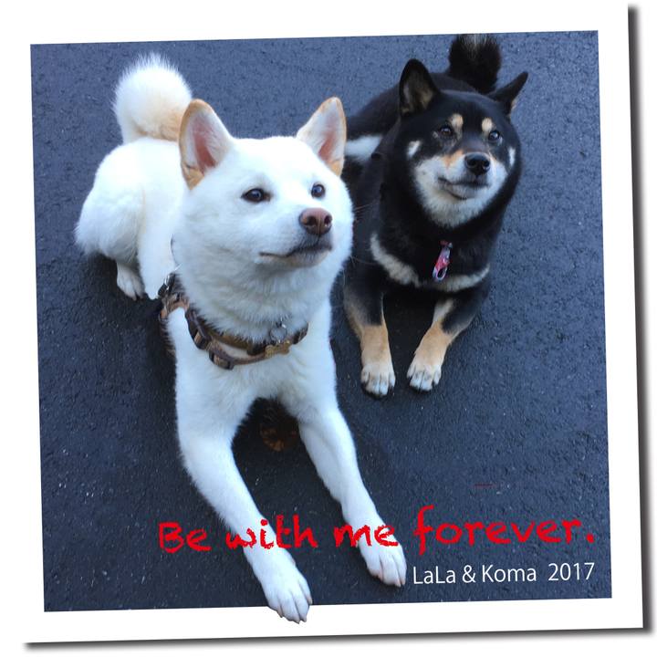 1af6f609 31c6 4f35 844e ac559fdcefe8