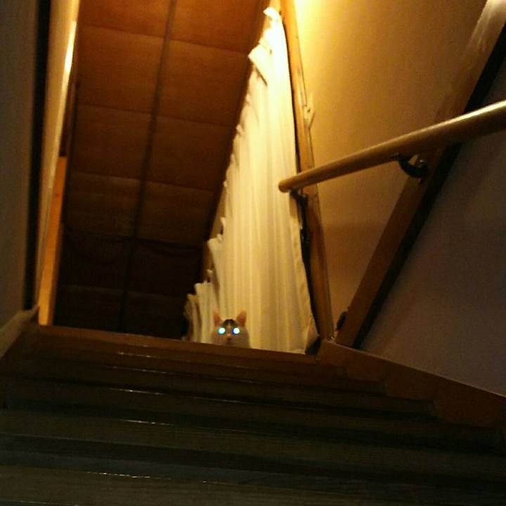 1af7b929 7713 4b7f 8ef0 734e8852cbb8