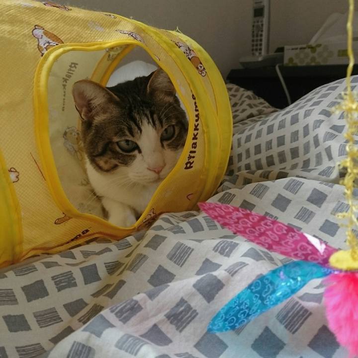 1af7e482 fb14 4e2f a307 0a35edbed5f3