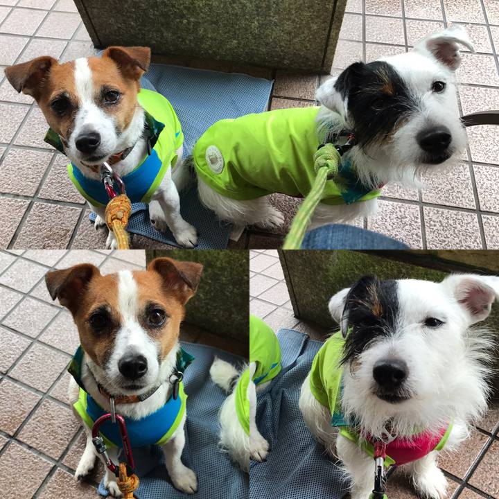 1af935ec 912f 47d8 b8c6 dc0a20d1ffac