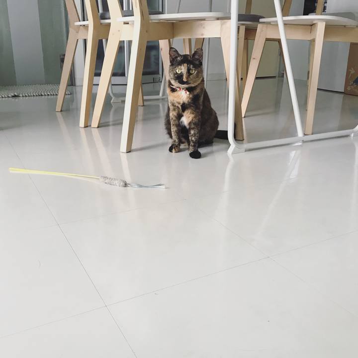 1af93aa5 320d 4812 8860 133533d233b5