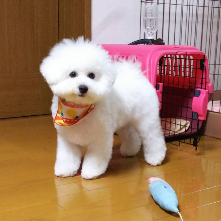 1af9ddb0 f978 4d74 abea 9694fc1134b2