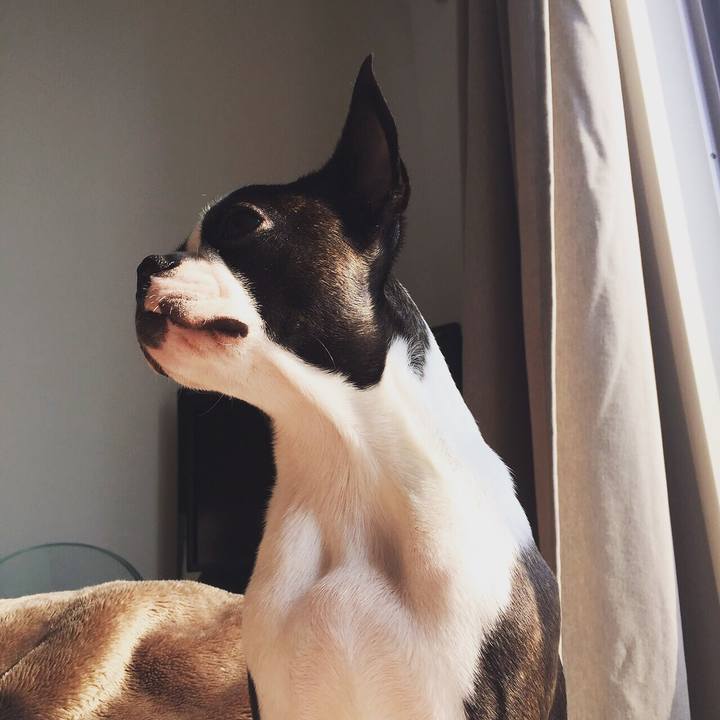 1afa05e7 84fe 4f1c 952b 421b64b5c840