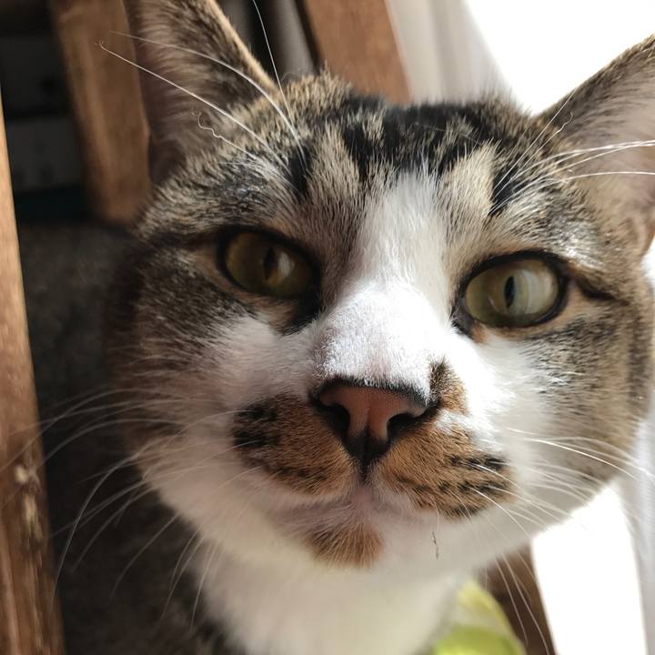 1afda38a 0cdf 4e6b b443 32465679644e