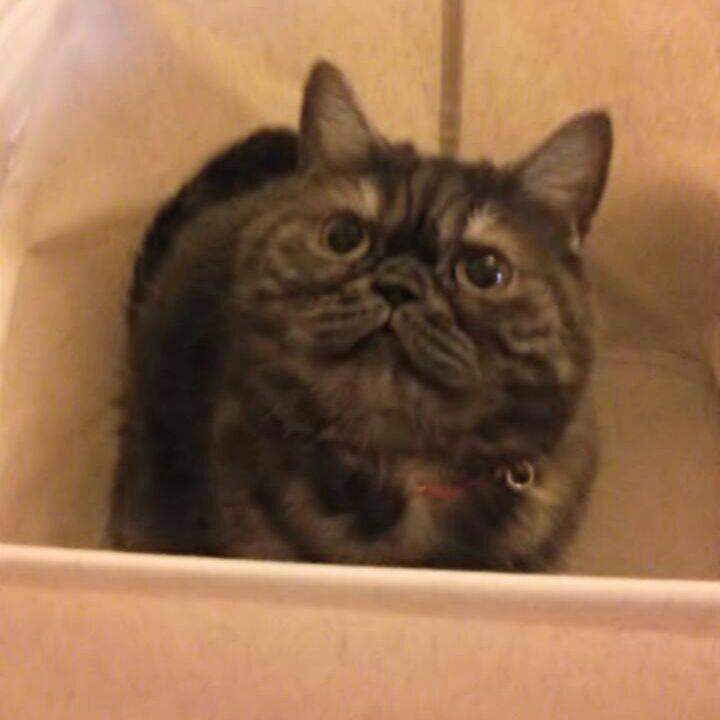 1afdbec6 78ff 4921 b224 ec7f3aa85498