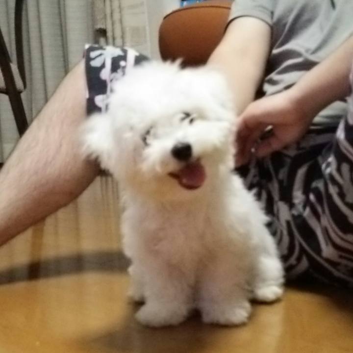 1afe0174 6a12 40e8 9d54 ca62e40e3b04