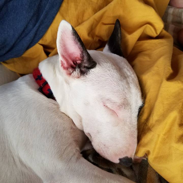 1afe23a6 2088 4e29 8bc3 aedd1d9a3062