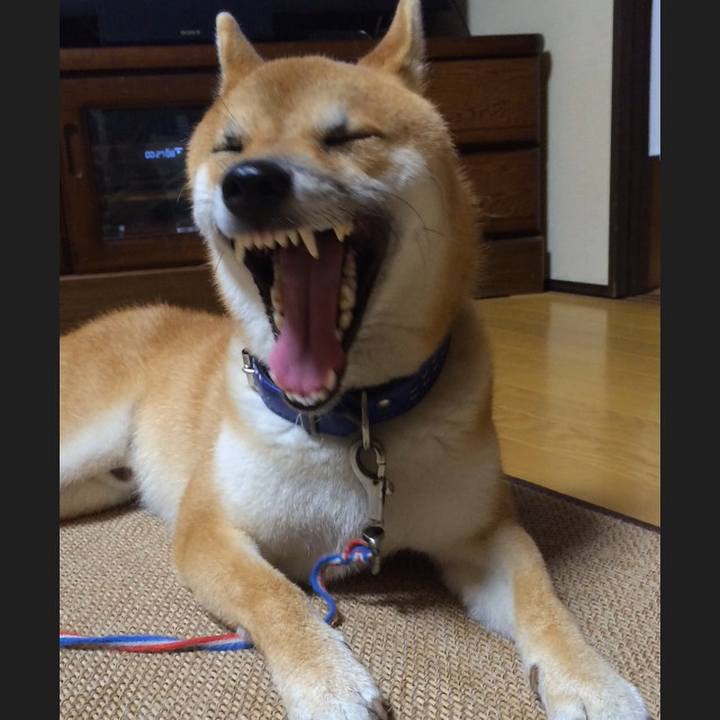 1afe5e4a 0120 4cd7 851a f25079af12c2