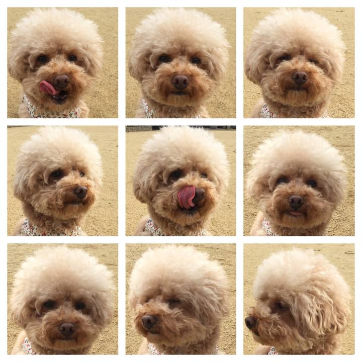 1afeaf2f 922d 4199 b9f4 c1211c818685