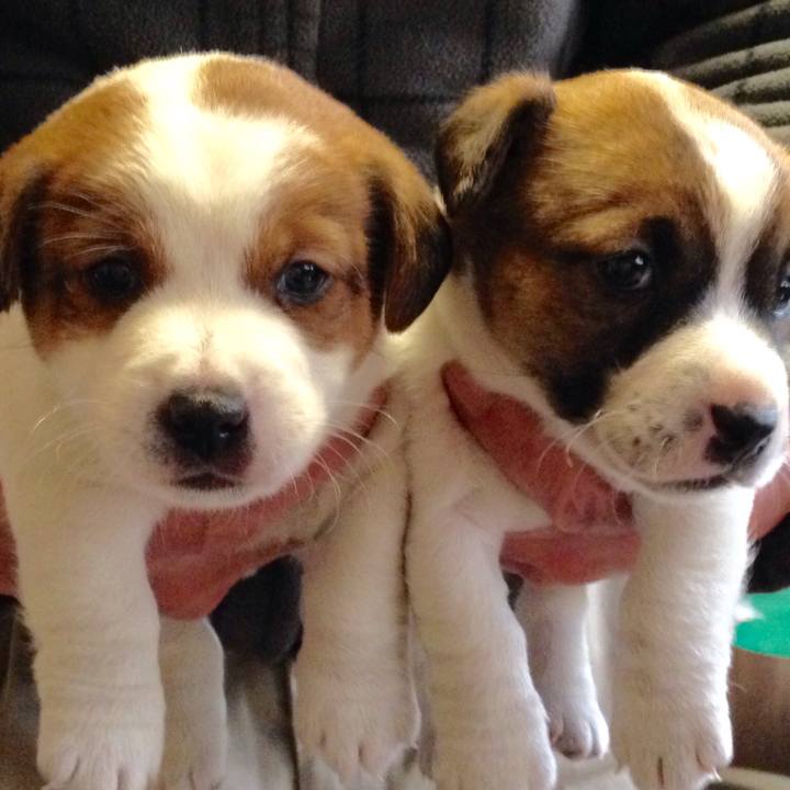 1afefb7f 28b1 4c35 ba69 2e5fa7be87eb