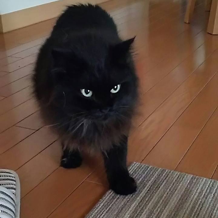 1aff595e 45ac 426d a139 26250dfc1cdf