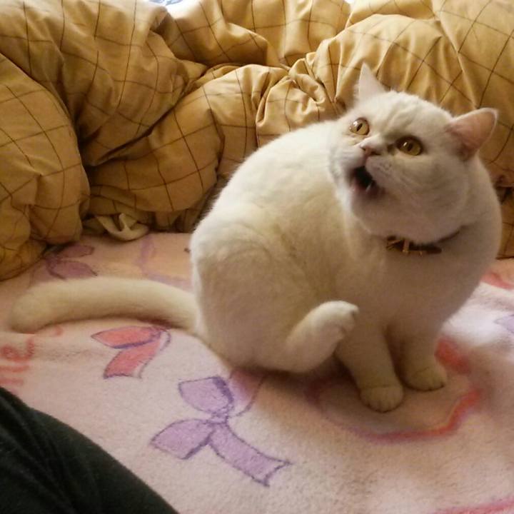 1b000716 2dfd 4d96 a7fb e8c8f1f8190c