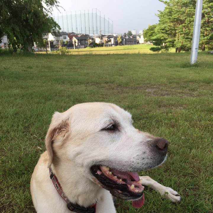 1b001c66 67c7 4c06 b1c8 9ca40b4a8510