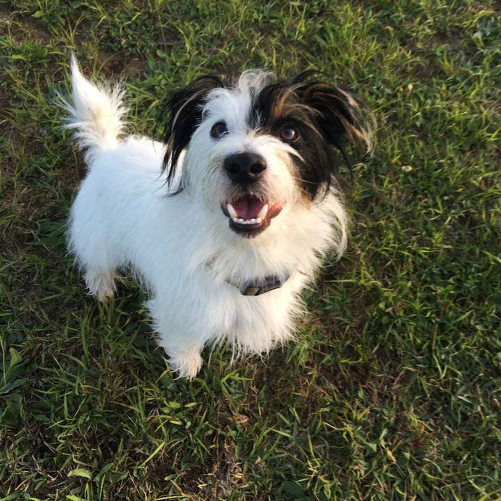 1b00cd05 81ec 40c4 89d6 a1f87e151a1c