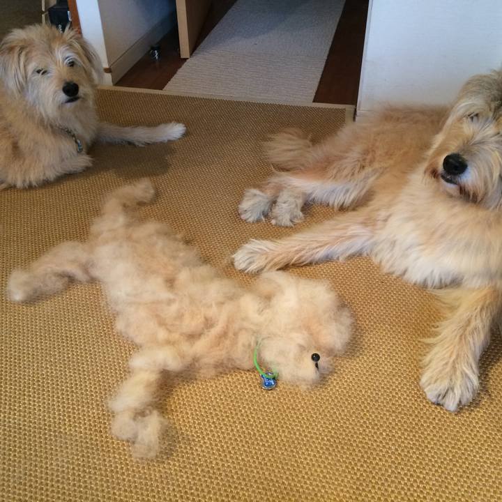 1b00d23e 70ed 4331 b3b2 85815553ed3a