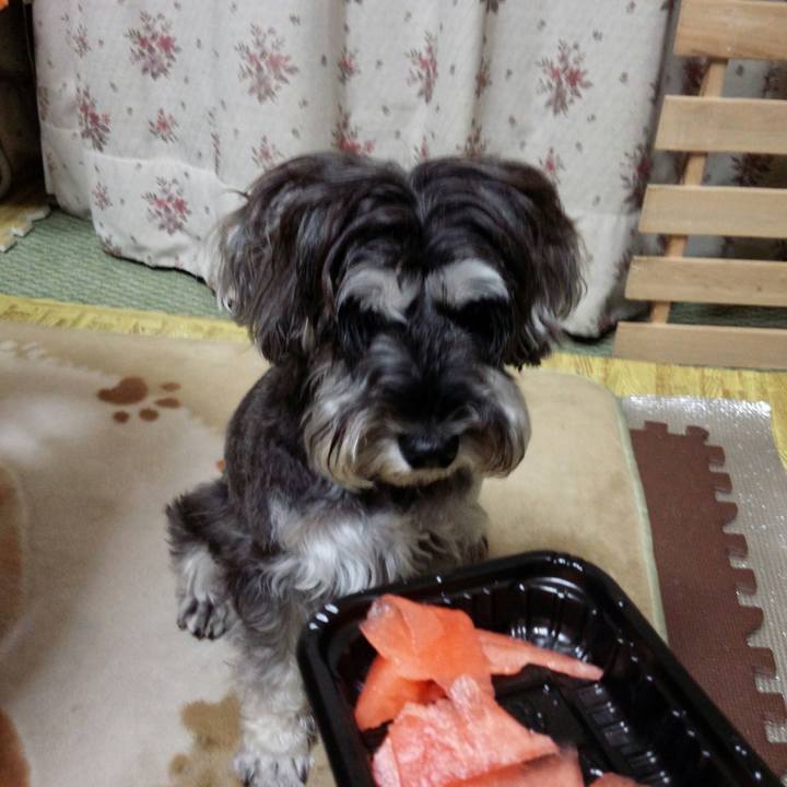 1b014504 0324 4eb9 81b1 e7e346150e41