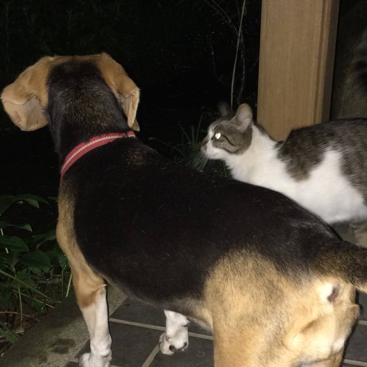 1b025403 808a 46cf a34d 42b8119a1780