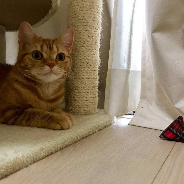 1b029a89 d9cb 40fe ab8b ad2071068125