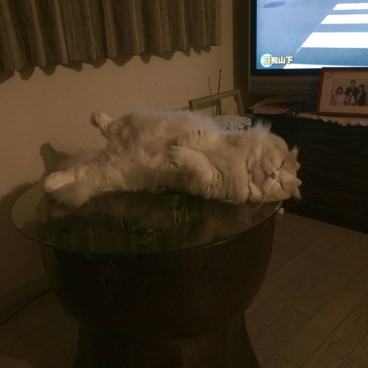 1b031572 f87e 438a 9202 c1bb8bb8217f