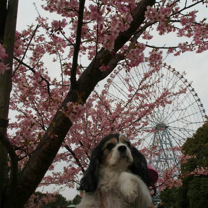 1b031996 5205 4983 a48a 8cd93c4bc9ab