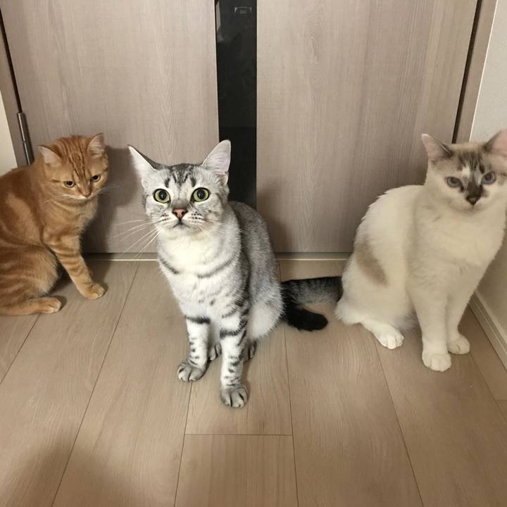 1b04b9cd 678b 4e53 af62 3609673814b2