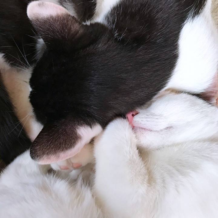 1b04ce3f 1404 4ed8 b1e2 5e5e20e5359d