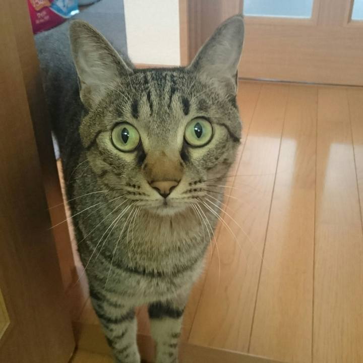 1b04fc16 7cb3 4981 8b3f 74d8297d692c