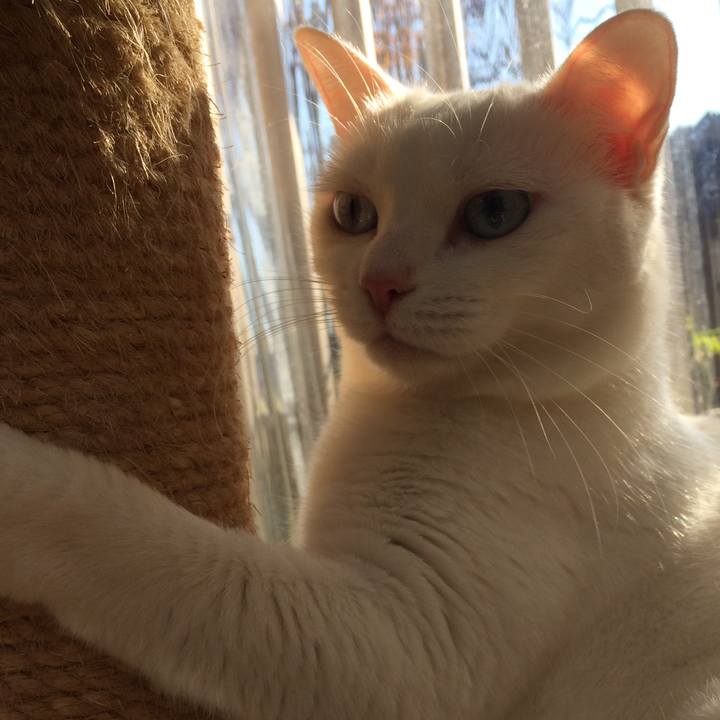 1b05ceb7 efea 42ca ac67 d8a29aaf4f2a