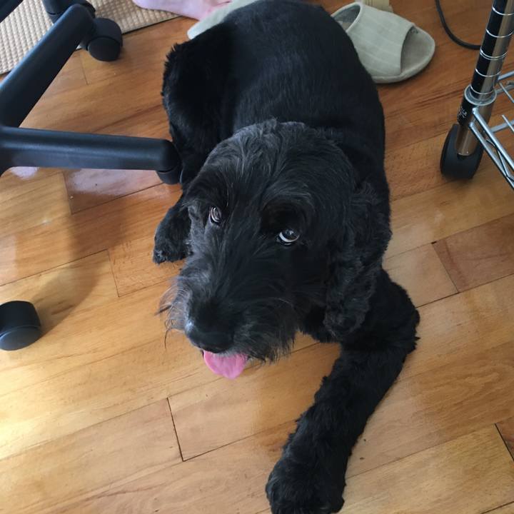 1b06971c 2180 4b0f afe9 c0524e9e139f