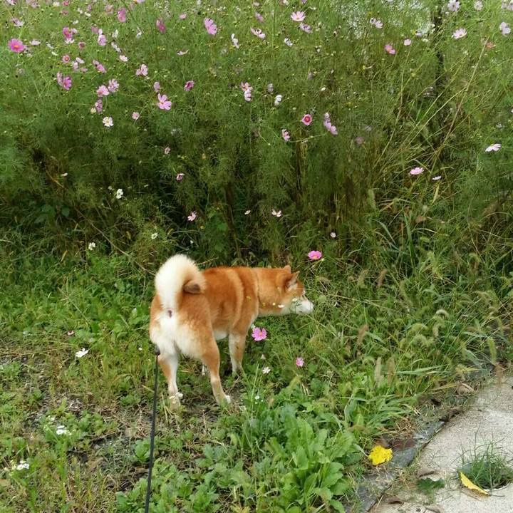 1b06e05f c17e 4cb4 b205 197913d26608