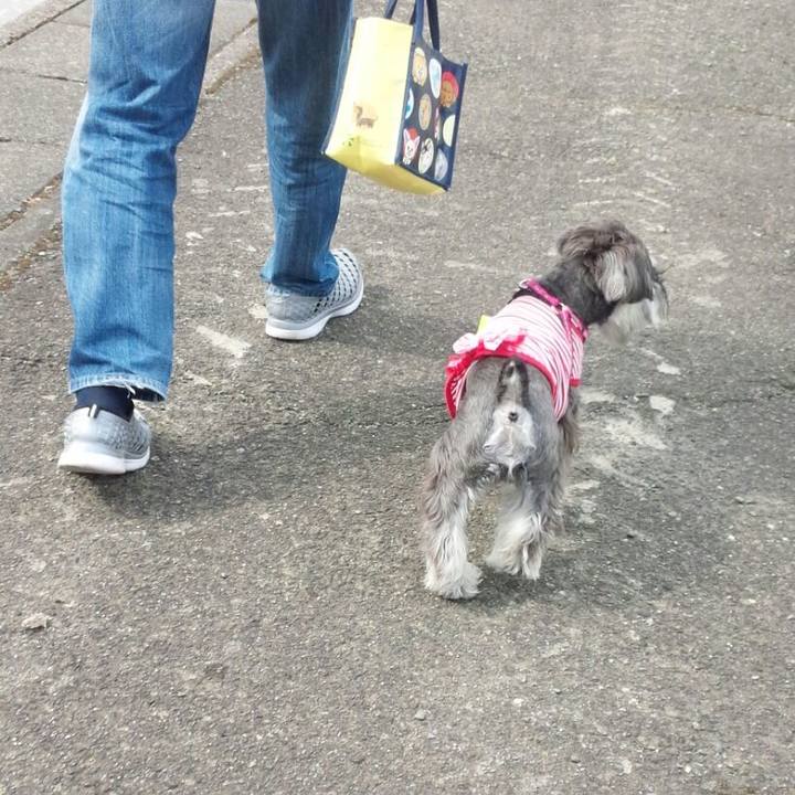 1b0749c6 4000 4463 ab32 d2dd42d6bea9