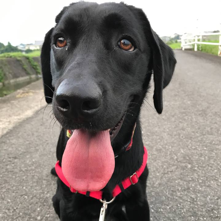 1b07e291 617a 4a5f a5cc 6c9f82d07839