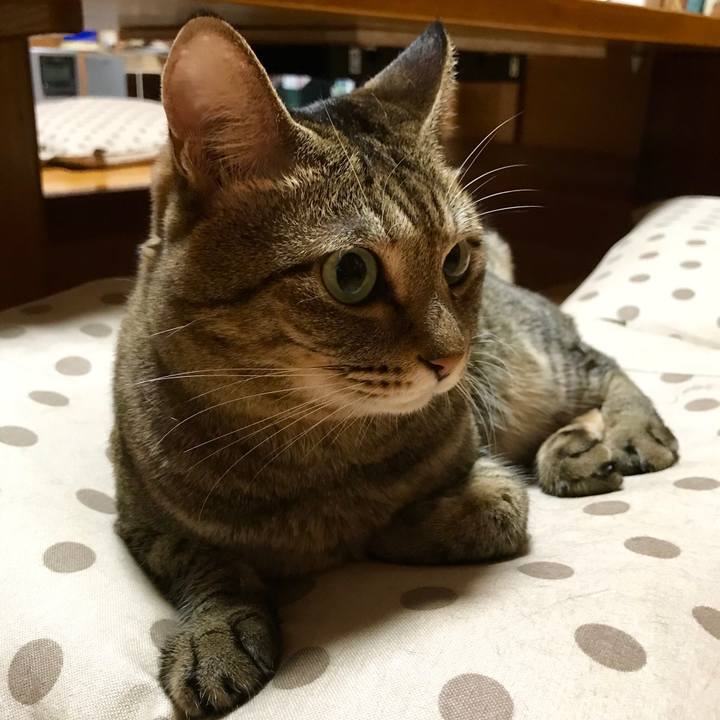 1b08b96d 7286 4eed 8cf4 7b5f20837d02